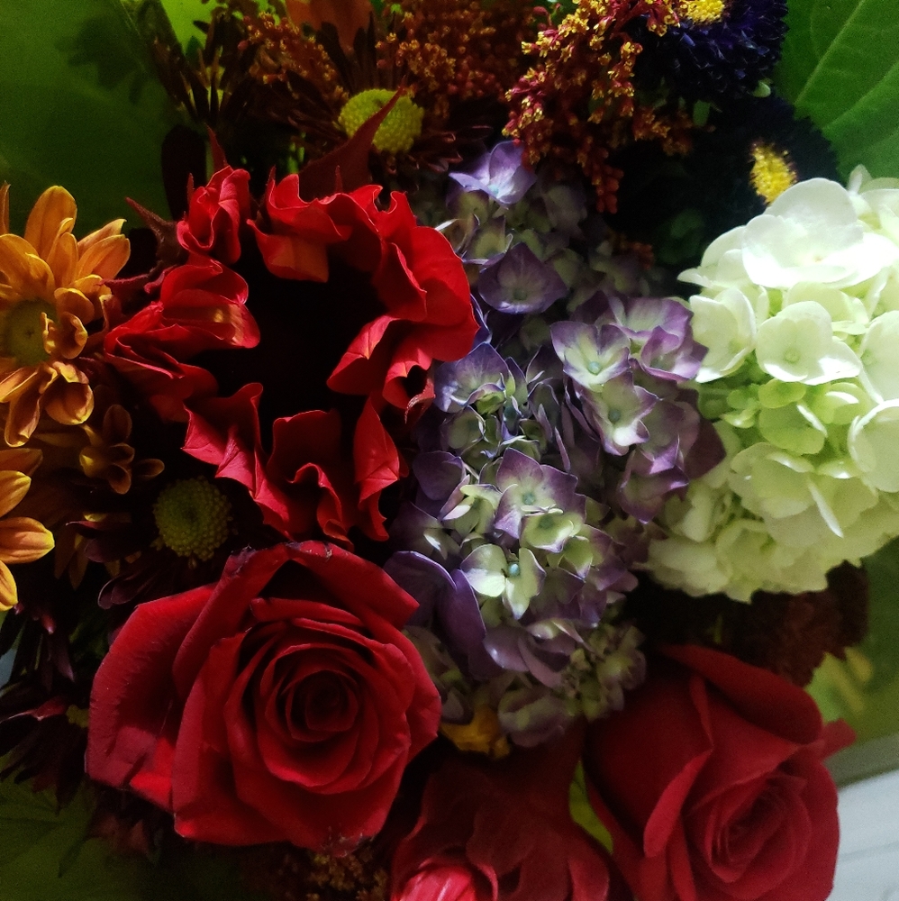 Meet your Posher, Carolina